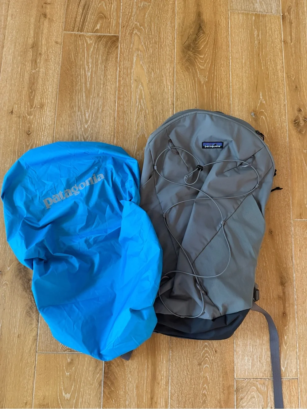 Patagonia Unisex Altvia Pack 14L Backpack